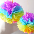 Tissue Paper Pom Poms for Kids Party Decorations